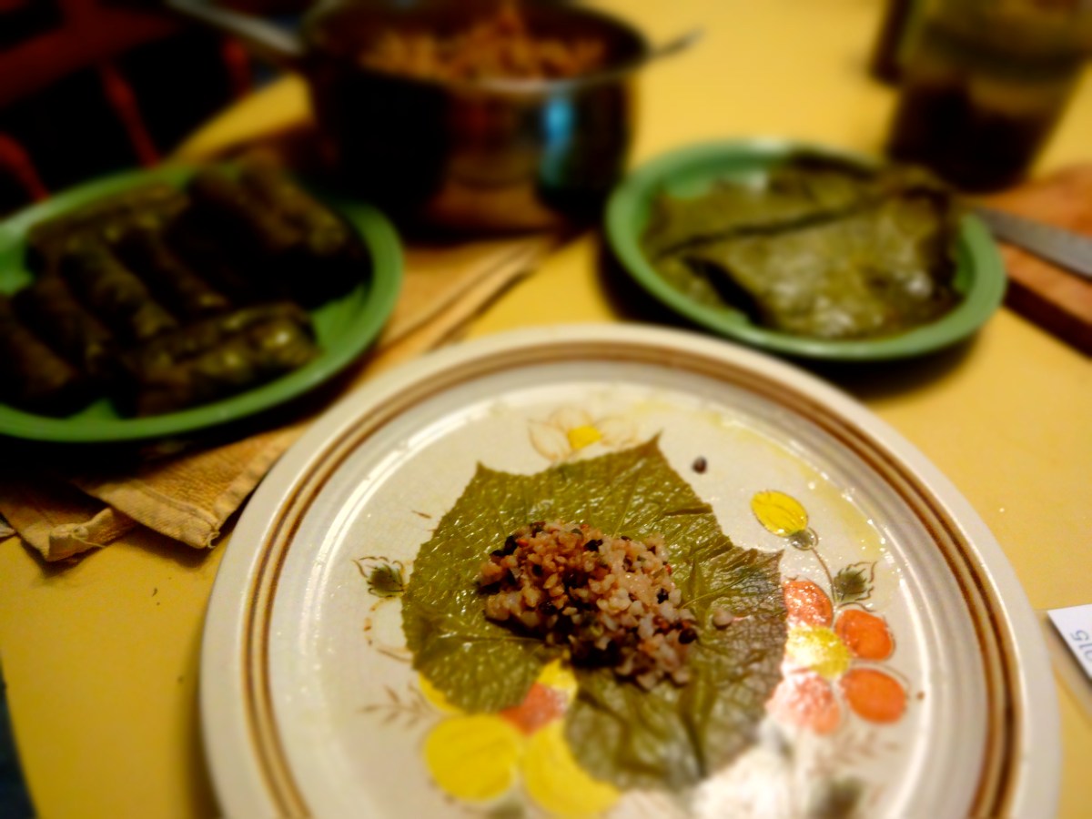 Spring Cookery 1 — Wild Grape&nbsp;Leaves